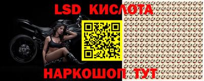 стафф Рыбинск
