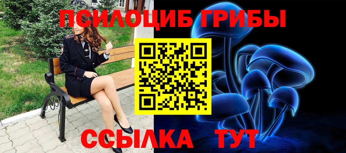 Гусь-Хрустальный  Псилоцибиновые грибы мицелий  Вход с VPN  Галлюциногенные грибы прущие грибы 